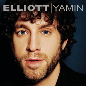 Elliot Yamin