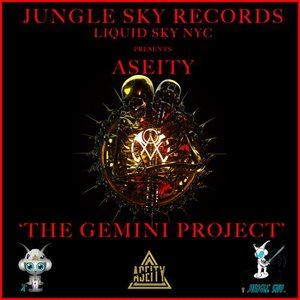 The Gemini Project