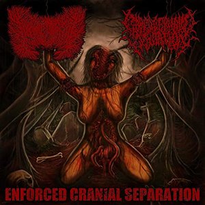 Enforced Cranial Separation (2 Way Split) [Explicit]