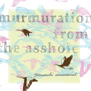 Murmuration From the Asshole