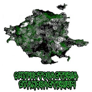 Avatar für Oxyphotobacteria Cyanobacterium