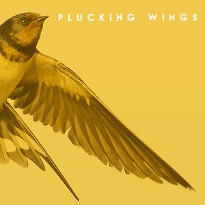Plucking Wings 的头像