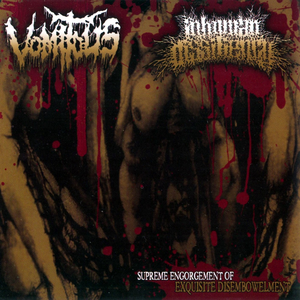 Dripping Vaginal Excrements cover