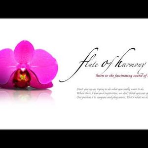 Flute Of Harmony 的头像