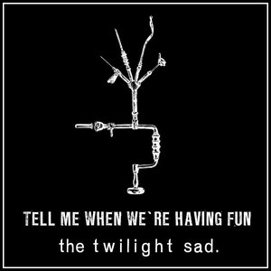 Tell Me When We're Having Fun