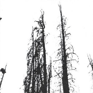 Avatar for Woodland Spells