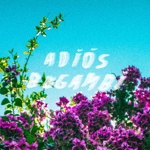 Adiós Bugambi