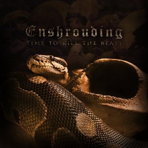 Image for 'Enshrouding'