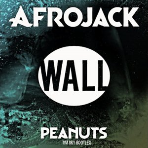 Afrojack - Peanuts (Tim Sky Bootleg)