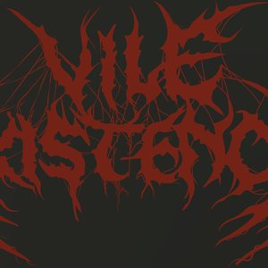 Avatar for Vile Existence