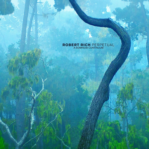 Perpetual: A Somnium Continuum cover