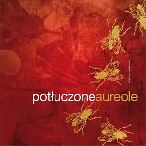 Potłuczone Aureole