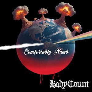 Comfortably Numb - Single
