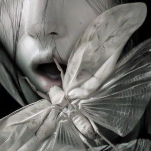 you'll never see me ever again