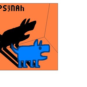 PSyNAh 的头像