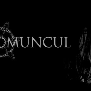 Avatar for Homuncul