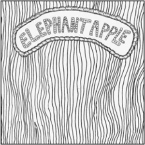 Avatar for Elephant Apple