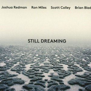Still Dreaming
