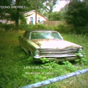 Young Sherbet 的头像