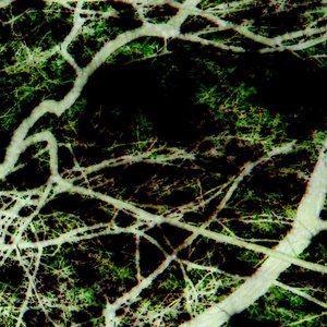 Aftermath EP