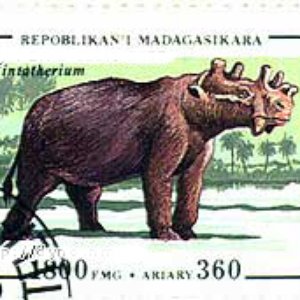 Uintatherium 的头像