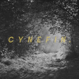 Cynefin