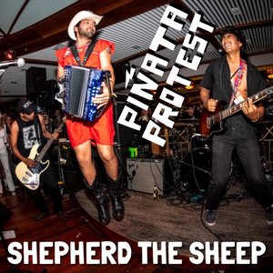 Shepherd the Sheep