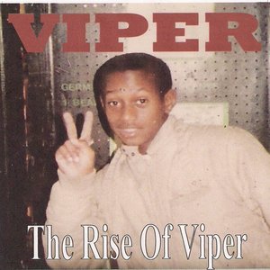 The Rise of Viper