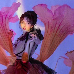 Image pour '孔雪儿'