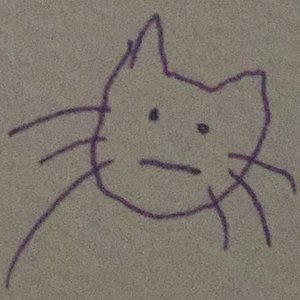 pity cat 的头像