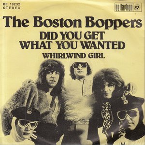 Did You Get What You Wanted / Whirlwind Girl