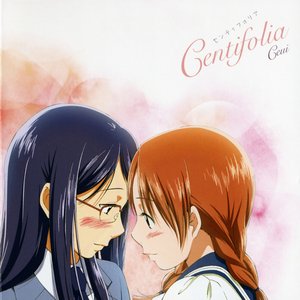 Centifolia