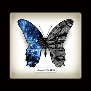 Harmonik/Electrik