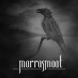 Marrasmaat