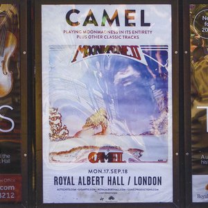 Live at the Royal Albert Hall
