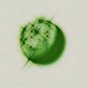 darkday!: the taster