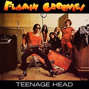 Teenage Head — Flamin’ Groovies