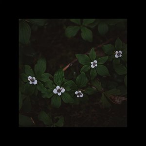 motion! - EP