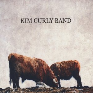 Kim Curly Band