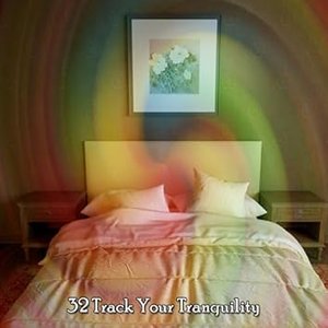 32 Track Your Tranquility