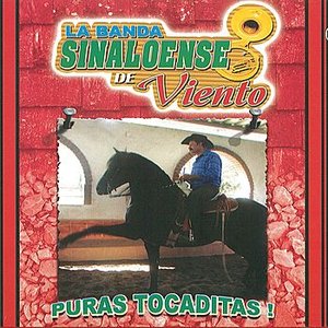 Puras Tocaditas