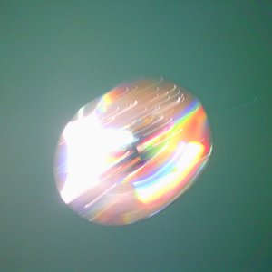 Wet Garden - Single