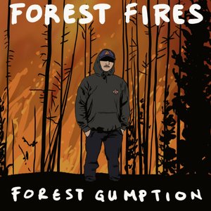 Forest Fires