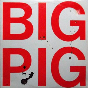 Big Pig