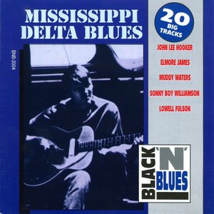Mississippi Delta Blues - 20 Big Tracks