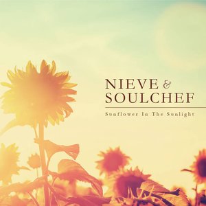 Nieve & Soulchef 的头像