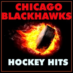 Chicago Blackhawks Hockey Hits