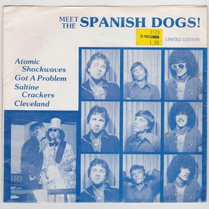 Meet The Spanish Dogs