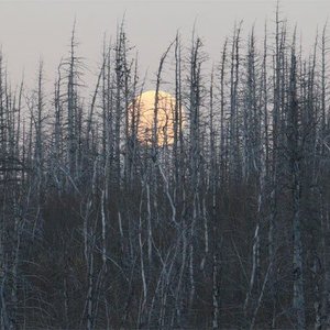 Varghall EP