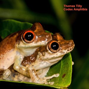 Codex Amphibia (An Interpretation Of The Explosive Breeding Phenomenon)